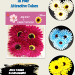 Sun Flower Individual Art & Craft