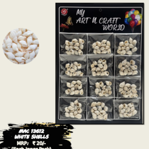 White Shells Multi Pack Art & Craft
