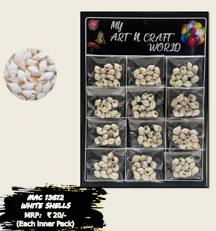 White Shells Multi Pack Art & Craft
