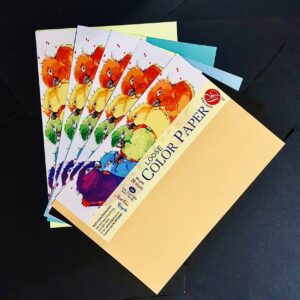 Pastel Sheets (80 GSM)